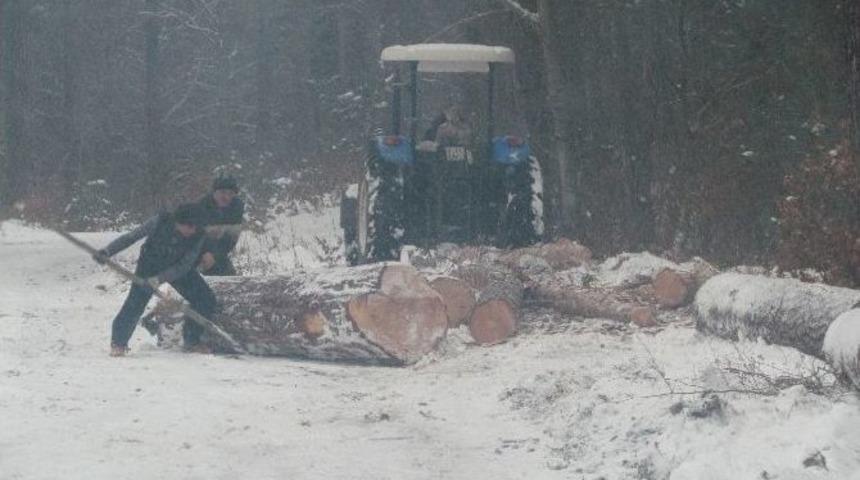 Kar &Uuml;st&uuml;nde Gen&ccedil;leştirme &Ccedil;alışması
