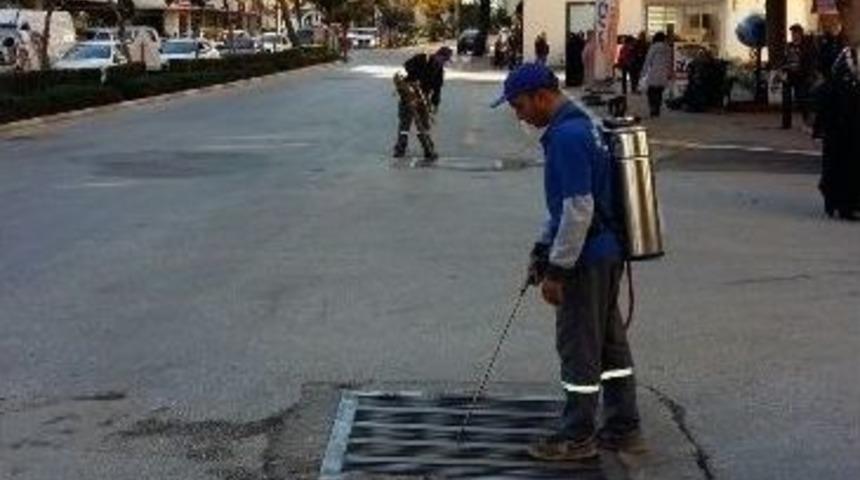 Alanya&rsquo;da Sivrisinekle M&uuml;cadele S&uuml;r&uuml;yor