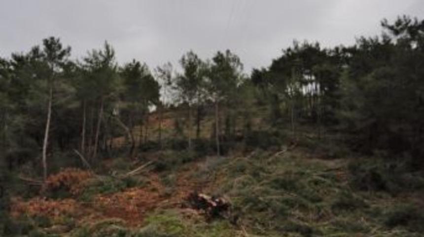 Bodrum&rsquo;da Orman Yangınlarına Karşı &Ouml;nlem Alınıyor