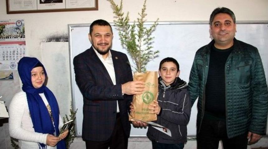 &Ouml;ğrencilere Karne Hediyesi Fidan