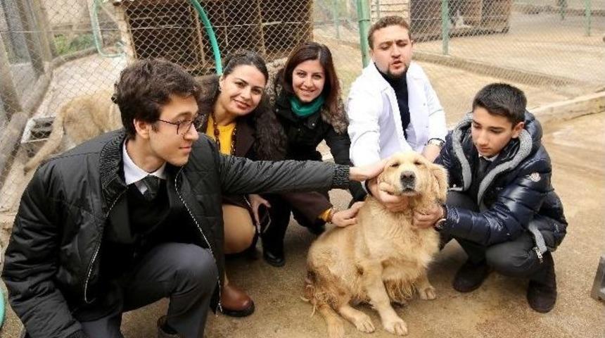 Atıklardan Sokak Hayvanlarına Kul&uuml;be Yaptılar