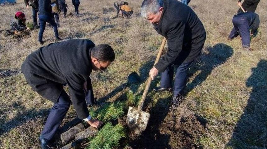 Edirne&rsquo;de G&uuml;mr&uuml;k&ccedil;&uuml;ler Fidan Dikimi Ger&ccedil;ekleştirdi