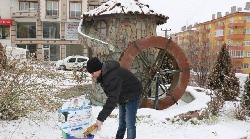 Soğuk Kış Aylarında Sokak Hayvanları A&ccedil; Kalmayacak