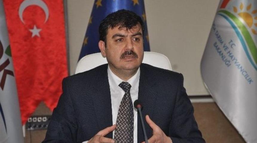 Tkdk Artık Yenilenebilir Enerji Projelerine De Destek Verecek