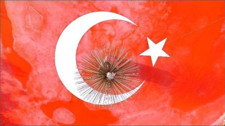 Buzdan Dev Türk Bayrağı G2