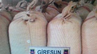 O Köye Giren Hırsızlar Yakalandı