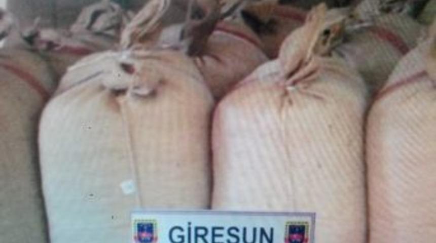 O Köye Giren Hırsızlar Yakalandı