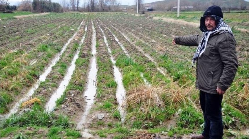 Ge&ccedil; Gelen Yağmur Patates &Uuml;reticisini Vurdu