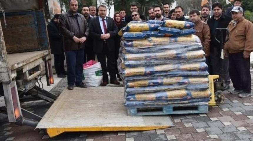 Bayır-bucak T&uuml;rkmenlerine Y&ouml;nelik Yardımlar S&uuml;r&uuml;yor