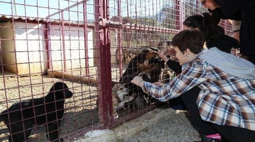 &Ouml;ğrenciler, Bakım Merkezindeki Can Dostlarını Ziyaret Etti