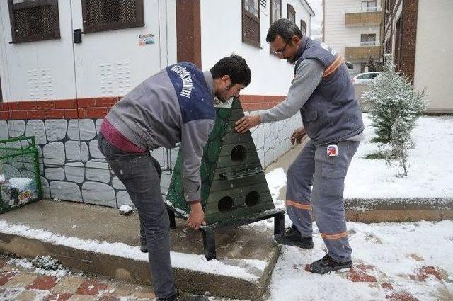 Bozüyük Belediyesi’nden Kedilere Sıcak Yuva