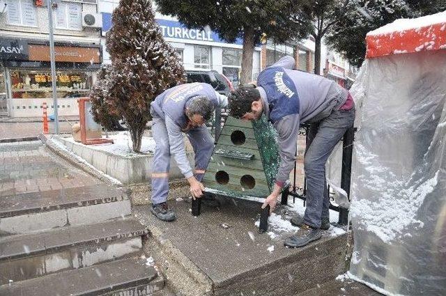 Bozüyük Belediyesi’nden Kedilere Sıcak Yuva