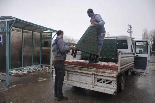 Bozüyük Belediyesi’nden Kedilere Sıcak Yuva