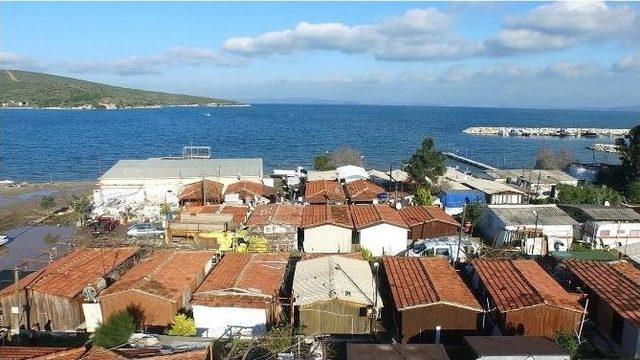 Urla’da Barınaklar Boşaldı, Yıkım Hızlandı