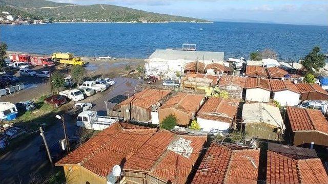 Urla’da Barınaklar Boşaldı, Yıkım Hızlandı