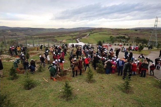 Minik Tema Gönüllüleri İzaydaş’ta Fidan Dikti