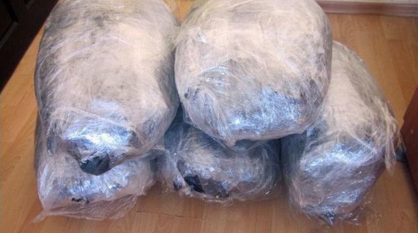 Zehir Tacirlerine 4 İlde Eş Zamanlı Operasyon