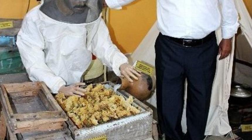 Arıcılar Saha Deneyimlerini Kongrede Paylaşacak