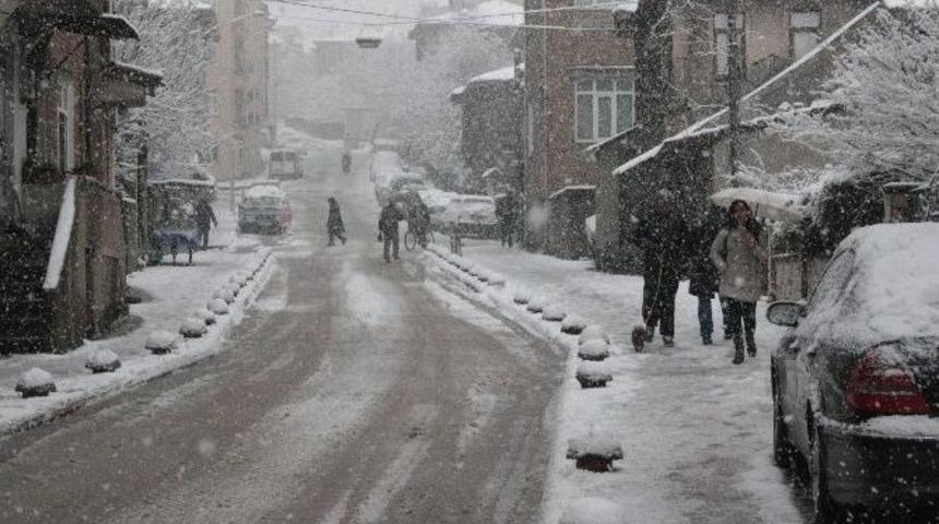 Bartın Beyaza B&uuml;r&uuml;nd&uuml;