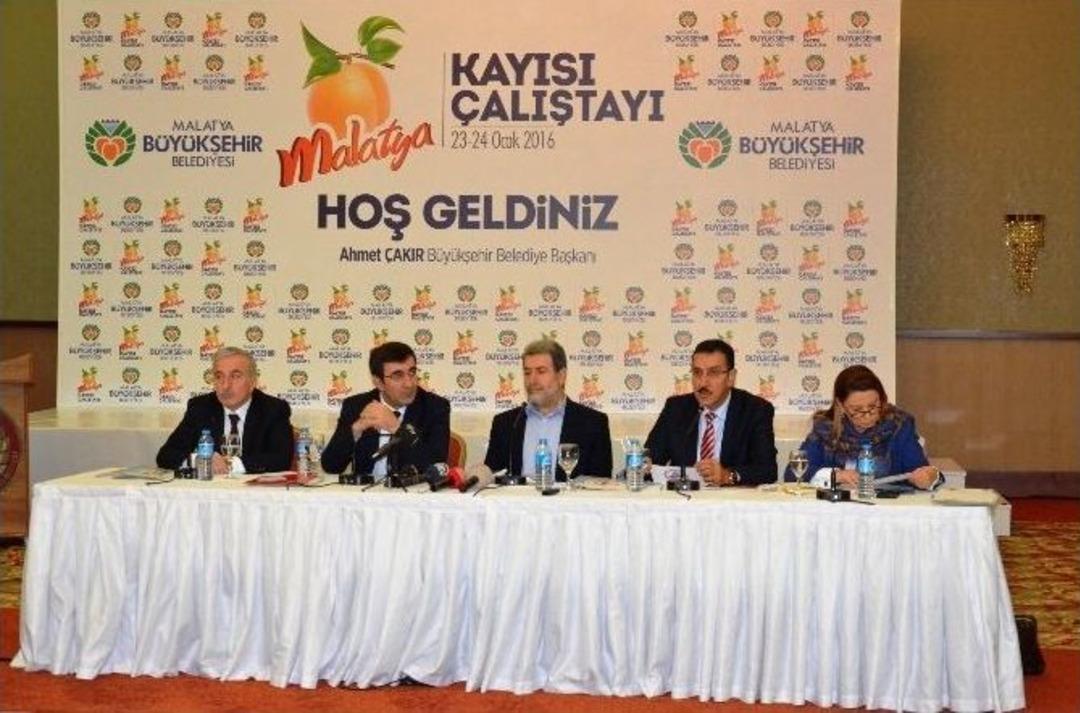 Malatya&rsquo;da "kayısı &Ccedil;alıştayı" D&uuml;zenlendi