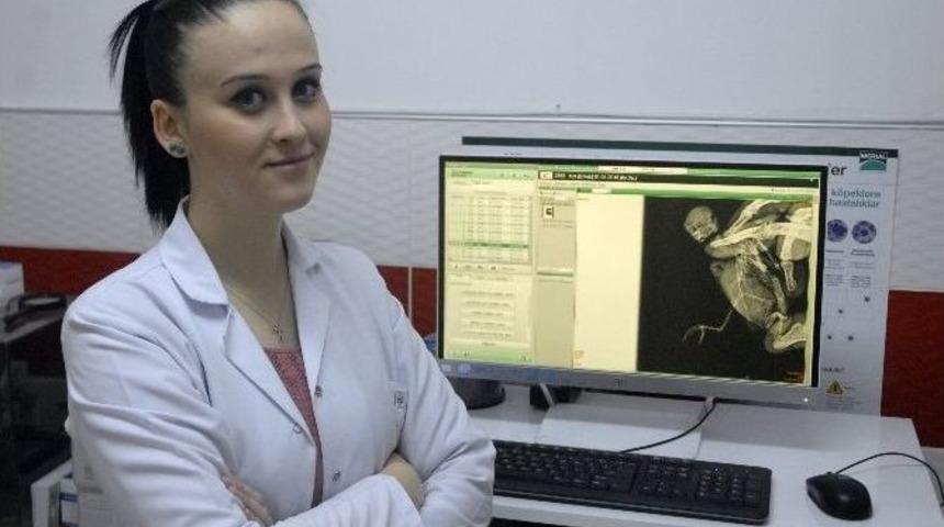 Veteriner Hekimi Tuğba &Ccedil;ine: &ldquo;yol &Uuml;zerine Konan Kuşlar İ&ccedil;in Duyarlı Olun&rdquo;