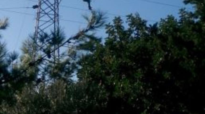 Toroslar Edaş Hatay&rsquo;da Trafoları Yeniliyor