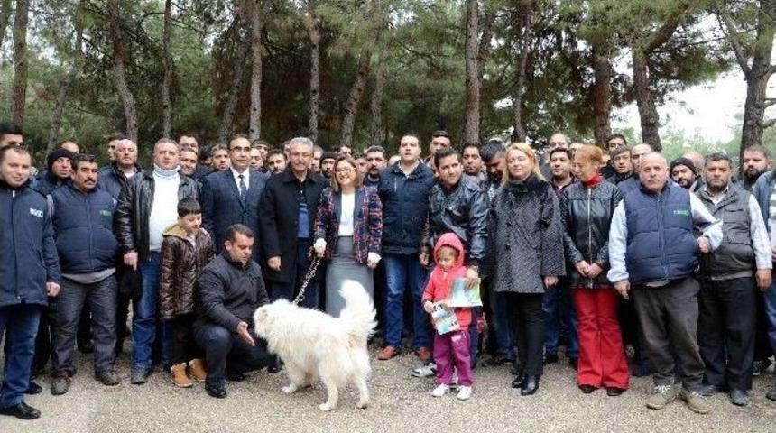 Gaziantep&rsquo;te Ev Ve S&uuml;s Hayvan Sahipleri Sertifikalı Satış Yapabilecek