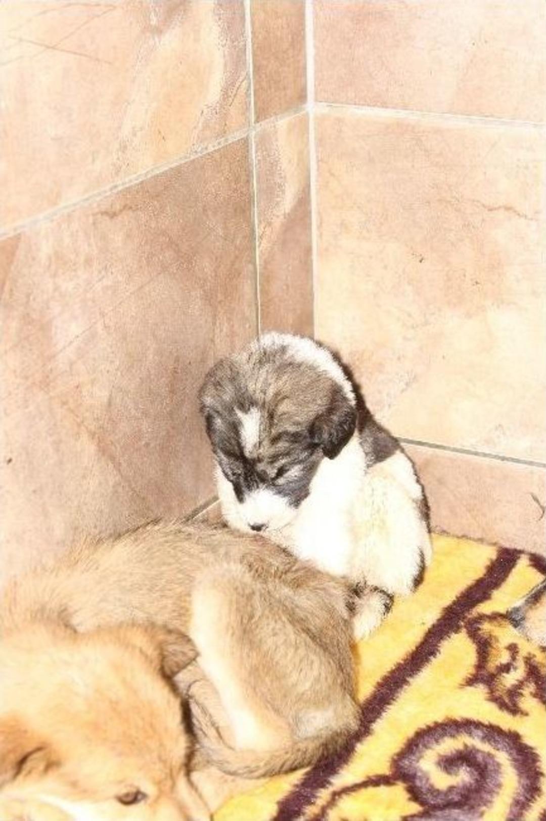 Salihli&rsquo;de Can Dostlar Unutulmadı