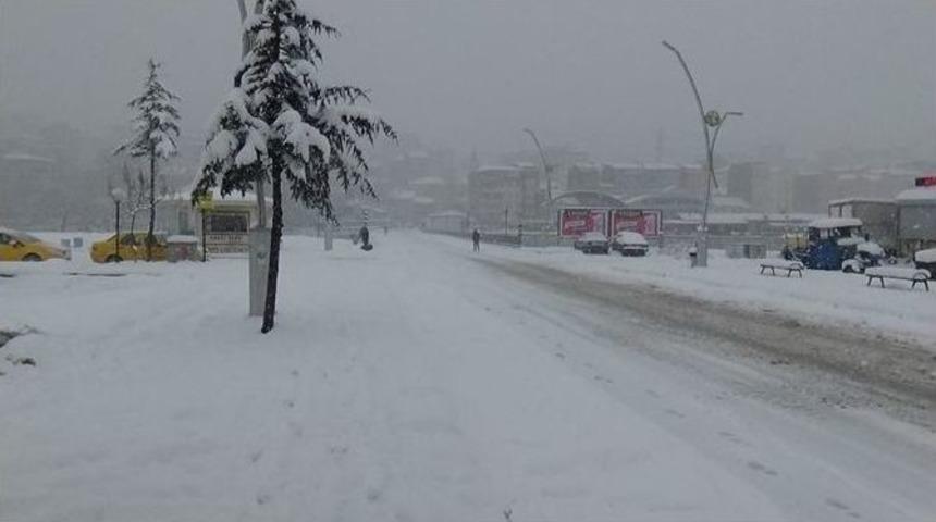 Alaplı Kara B&uuml;r&uuml;nd&uuml;