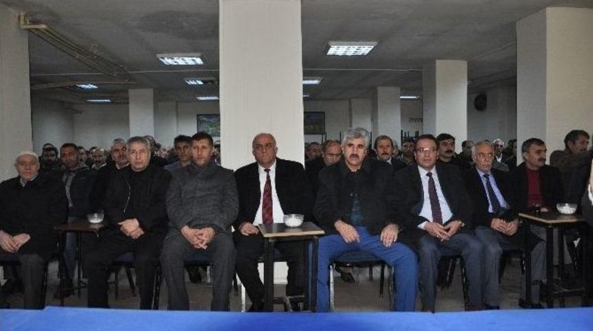 Kaya, G&uuml;ven Tazeledi