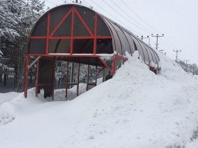 Bitlis’te Kar Yağışı Hayatı Olumsuz Etkiliyor