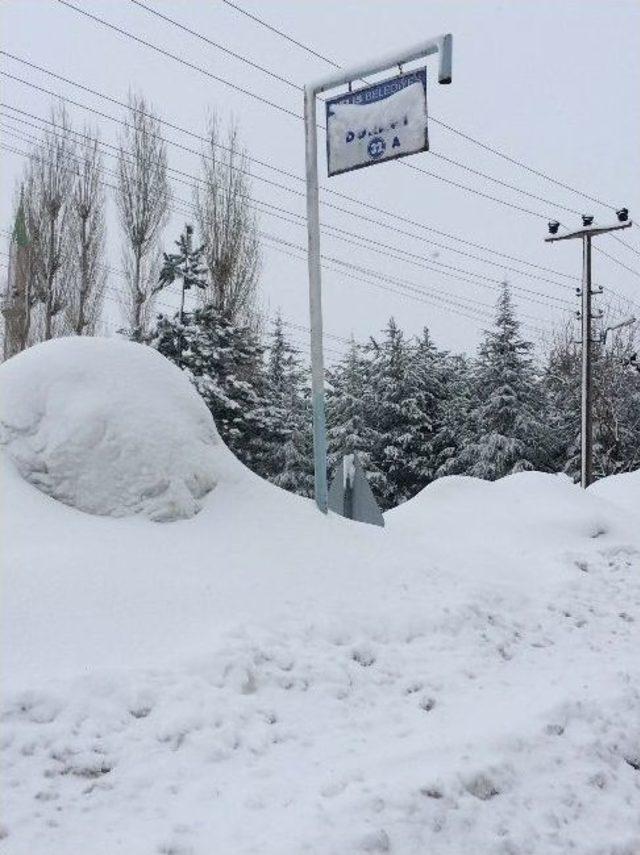 Bitlis’te Kar Yağışı Hayatı Olumsuz Etkiliyor