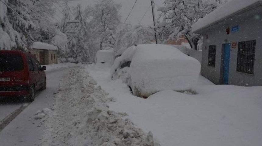 Burası Erzurum Değil Trabzon