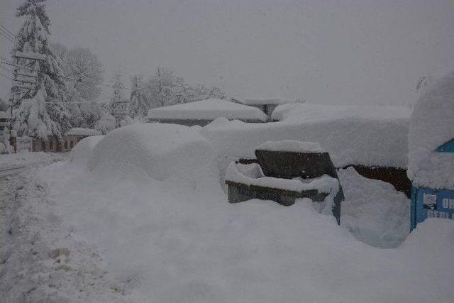 Burası Erzurum Değil Trabzon