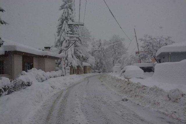 Burası Erzurum Değil Trabzon