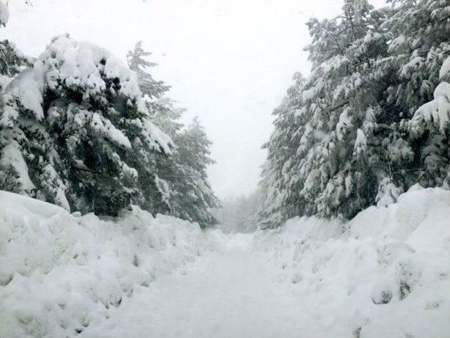 Malatya’da Beyaz Mücadele