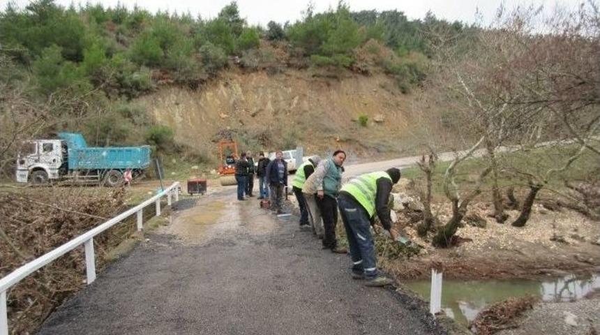 Talep Sosyal Medya&rsquo;dan, &Ccedil;&ouml;z&uuml;m B&uuml;y&uuml;kşehirden