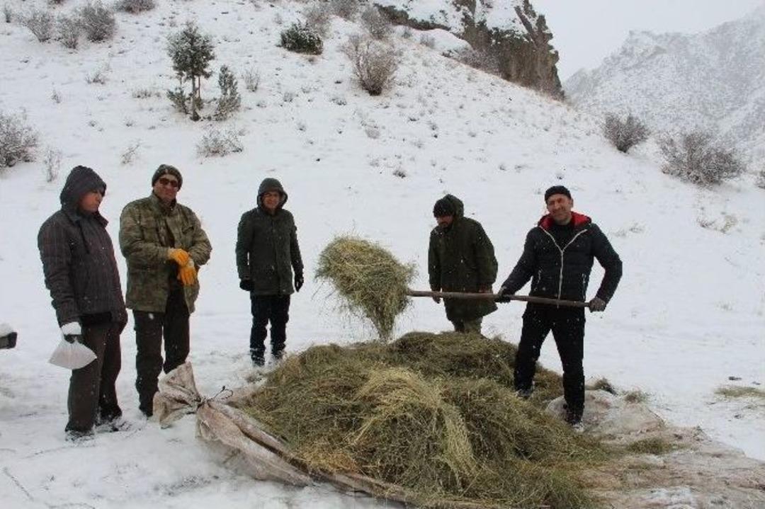 Doğaseverler Yaban Ke&ccedil;ileri İ&ccedil;in Ot Bıraktı