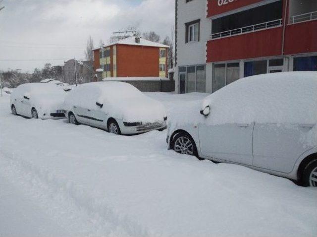 Varto’da Kar Yağışı