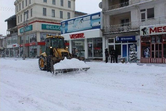 Horasan Belediyesinden Kar Mesaisi