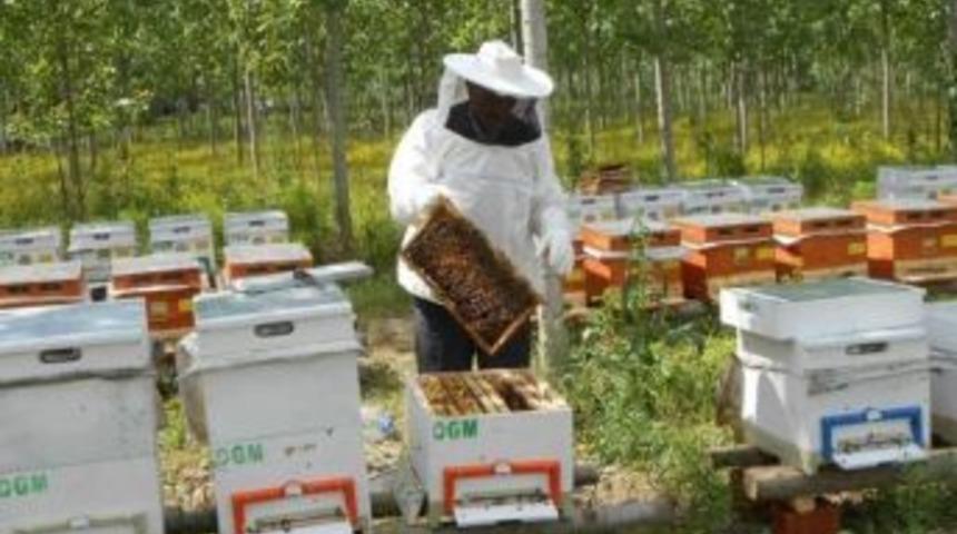 Amasya Obm&rsquo;den Orman K&ouml;yl&uuml;s&uuml;ne Destek