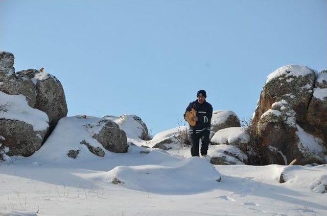 Bünyan Belediyesi Sokak Ve Yaban Hayvanları İçin Doğaya Yiyecek Bıraktı