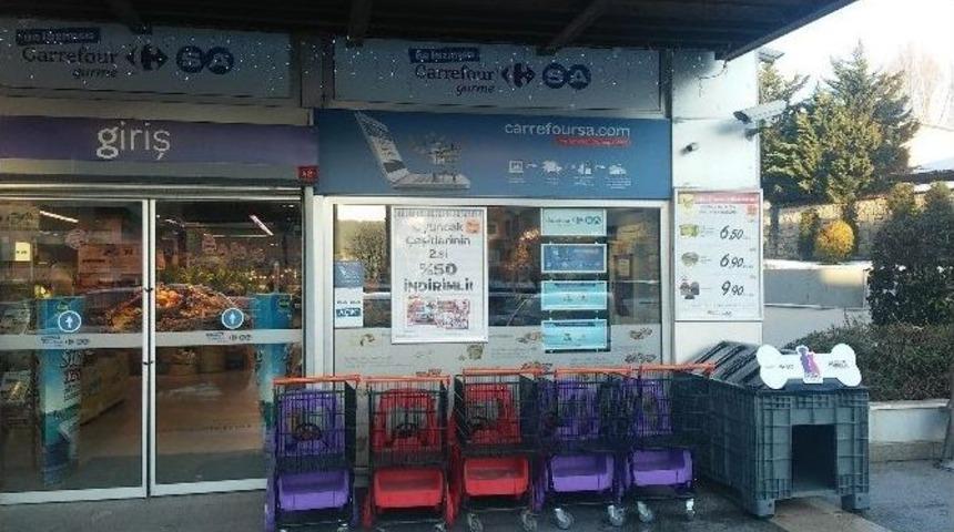 Carrefoursa&rsquo;dan Sokak Hayvanları İ&ccedil;in &ldquo;dost Hareketi&rdquo; Projesi