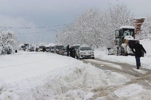 Tır Mahsur Kaldı, Karayolu Kapandı