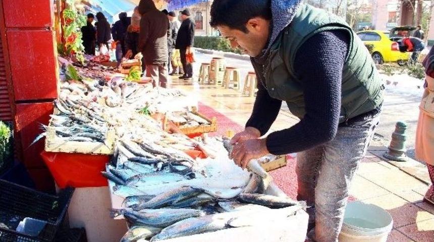 Balığın Kulağına Kar Suyu Ka&ccedil;tı