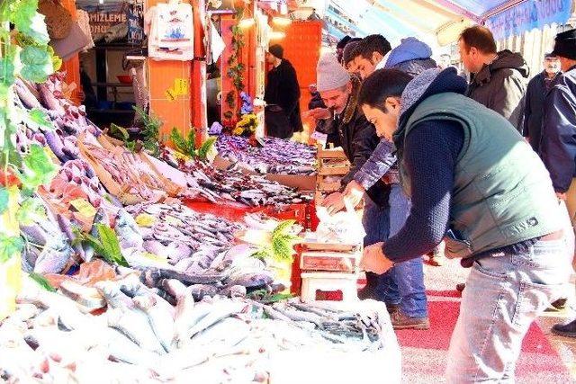 Balığın Kulağına Kar Suyu Kaçtı