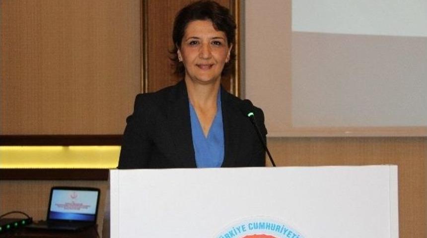 Mersin&rsquo;deki Kamu Hastaneleri Yılda 7 Milyon Hastaya Bakıyor