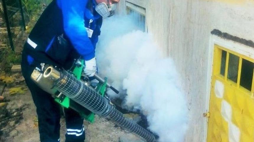 B&uuml;y&uuml;kşehir&rsquo;in Haşereyle M&uuml;cadelesi S&uuml;r&uuml;yor