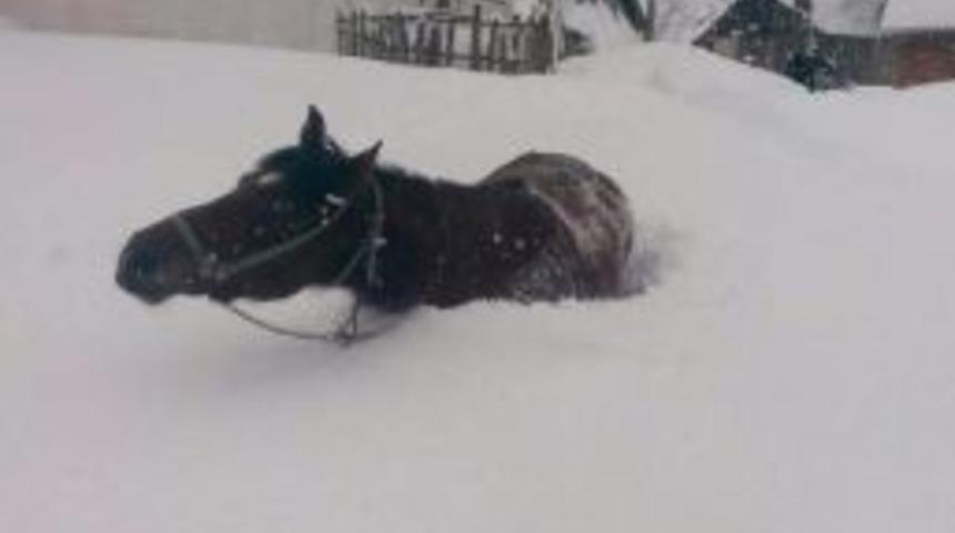 Abant Yolunda Kar Kalınlığı Bir Metreye Ulaştı