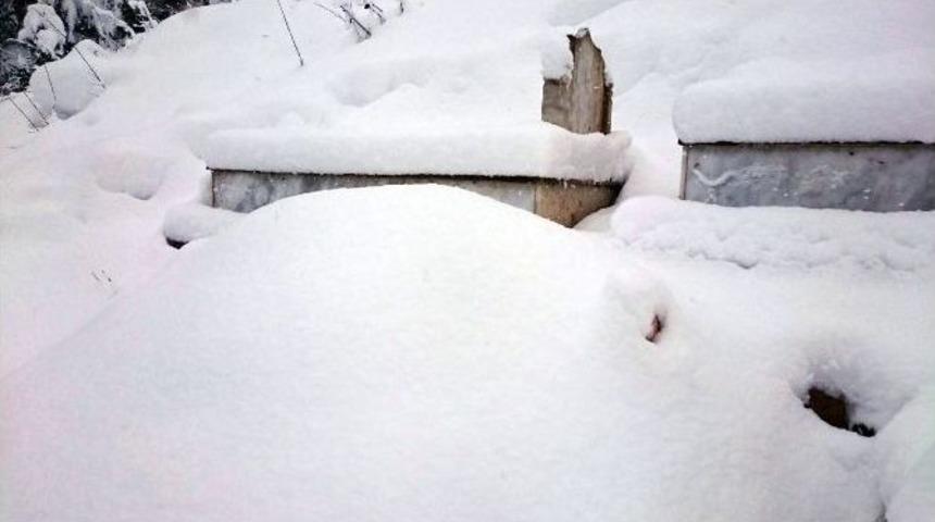 Yalnız Başına Doğum Yapan Kadının Acı Sonu